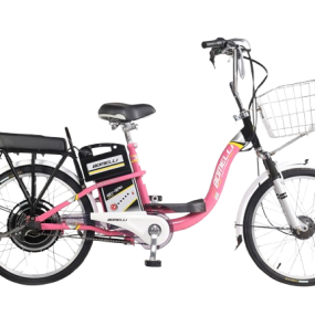XE ĐẠP ĐIỆN HITASA BOMELLI 22