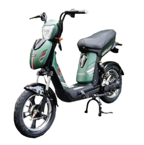 Xe đạp điện JVC eco Neo