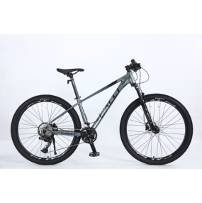 calli-6100-2025