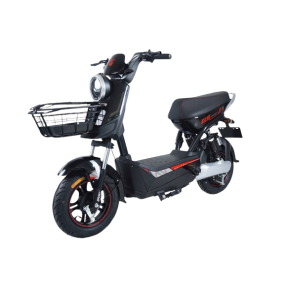 Xe điện Jvc G5 Sport