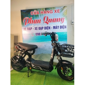 xe-dap-dien-nishiki-n22