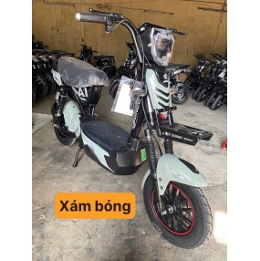Xe điện AI Sonco