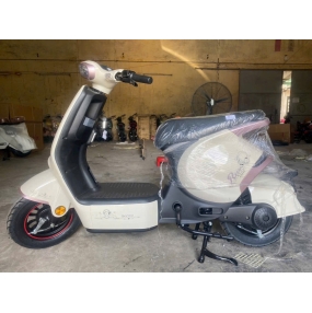 Xe đạp điện Sonco Bun