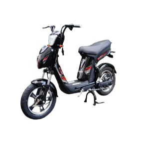 Xe đạp điện JVC eco Neo