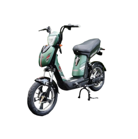 Xe đạp điện JVC eco Neo